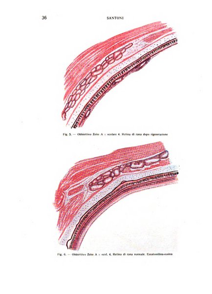 Bollettino d'oculistica periodico d'oculistica pratica