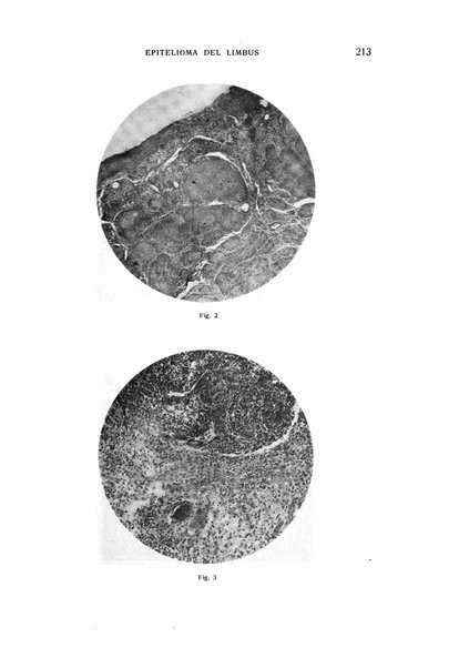 Bollettino d'oculistica periodico d'oculistica pratica