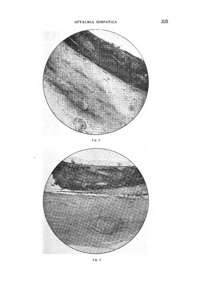 Bollettino d'oculistica periodico d'oculistica pratica