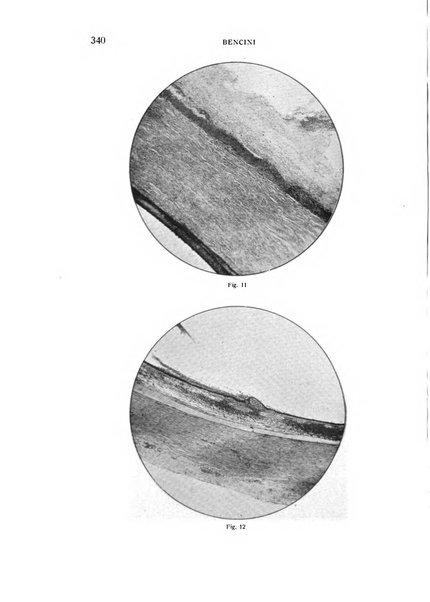 Bollettino d'oculistica periodico d'oculistica pratica