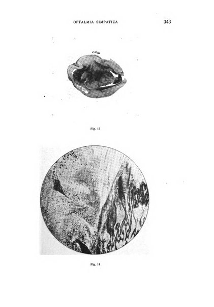 Bollettino d'oculistica periodico d'oculistica pratica