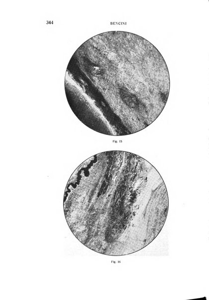 Bollettino d'oculistica periodico d'oculistica pratica