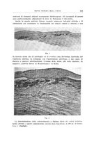 giornale/CUB0703669/1940/unico/00000203