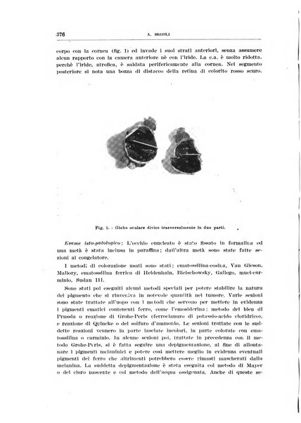 Bollettino d'oculistica periodico d'oculistica pratica