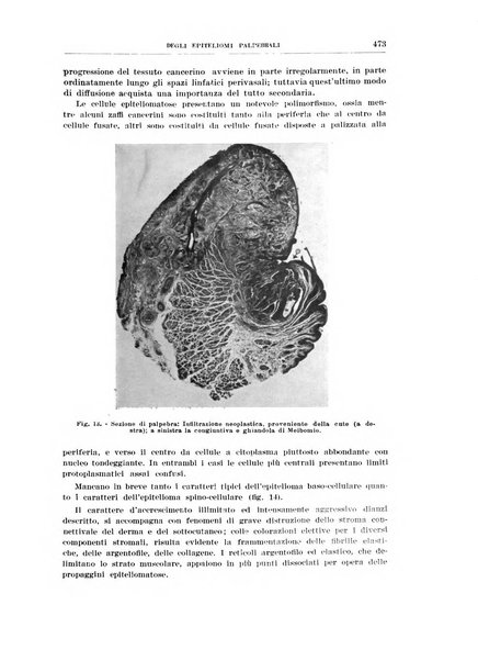 Bollettino d'oculistica periodico d'oculistica pratica