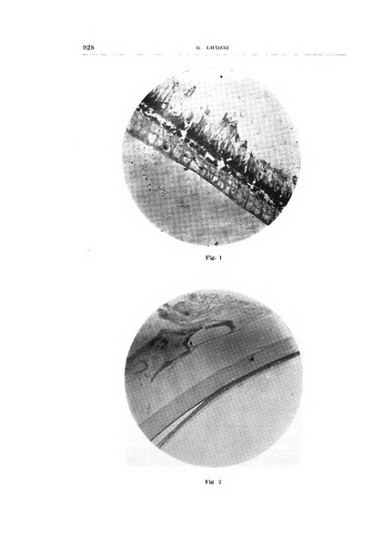 Bollettino d'oculistica periodico d'oculistica pratica