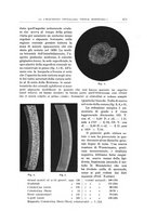 giornale/CUB0703669/1940/unico/00001029