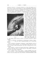 giornale/CUB0703669/1941/unico/00000200