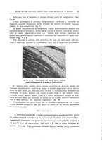 giornale/CUB0703669/1944-1946/unico/00000107