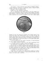 giornale/CUB0703669/1944-1946/unico/00000216