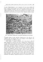 giornale/CUB0703669/1944-1946/unico/00000359