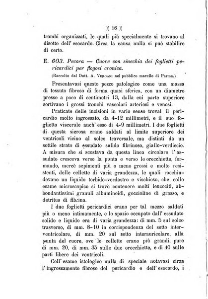 L'Ercolani periodico di medicina veterinaria