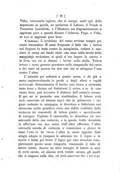 L'Ercolani periodico di medicina veterinaria