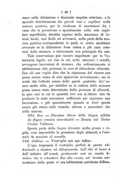 L'Ercolani periodico di medicina veterinaria