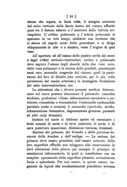 L'Ercolani periodico di medicina veterinaria