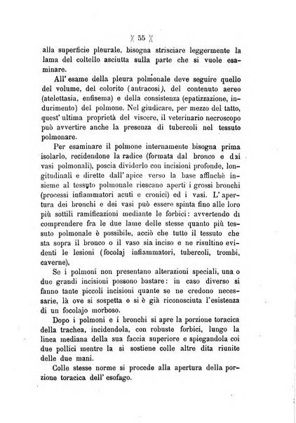 L'Ercolani periodico di medicina veterinaria