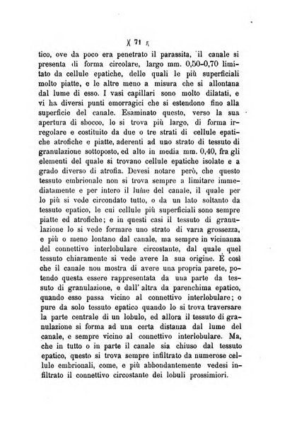 L'Ercolani periodico di medicina veterinaria