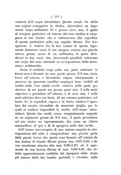 L'Ercolani periodico di medicina veterinaria