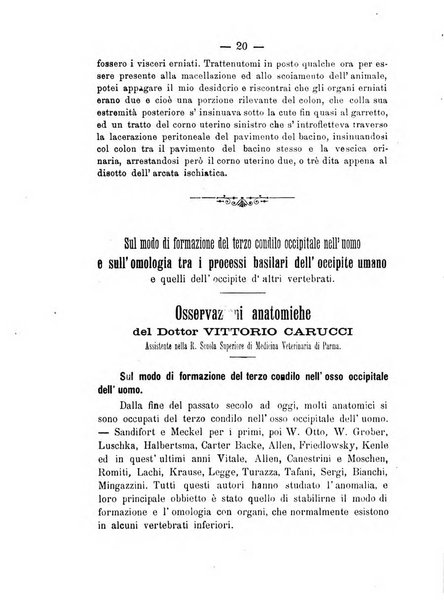 L'Ercolani periodico di medicina veterinaria