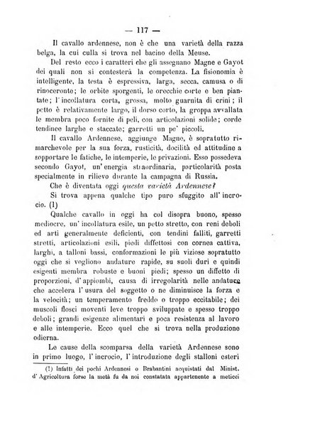 L'Ercolani periodico di medicina veterinaria