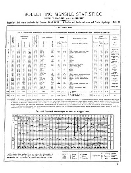 Firenze rassegna del Comune