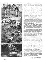 giornale/CUB0704458/1941/unico/00000424