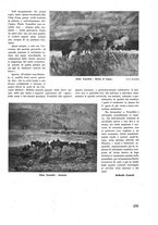 giornale/CUB0704458/1943/unico/00000325