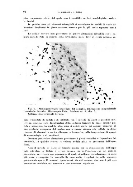 Nevrasse fisiopatologia e clinica del sistema nervoso centrale, neurochirurgia, neuroradiologia, psichiatria