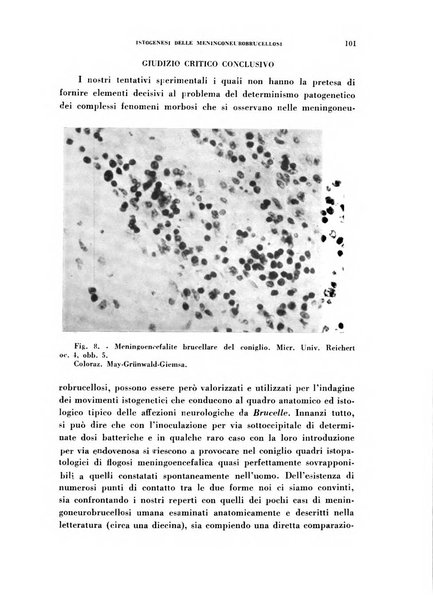 Nevrasse fisiopatologia e clinica del sistema nervoso centrale, neurochirurgia, neuroradiologia, psichiatria