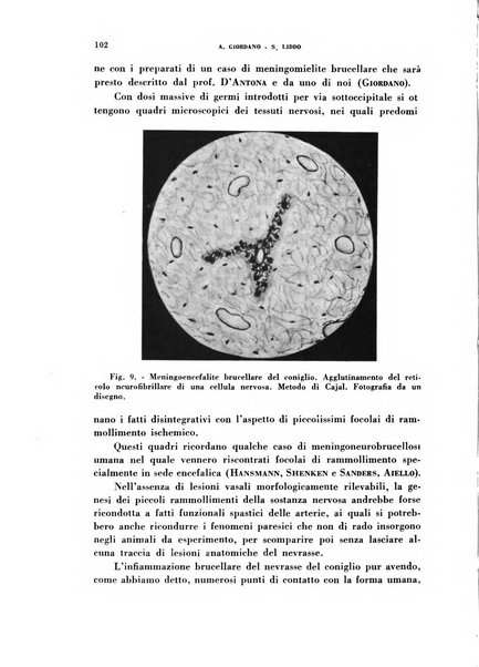 Nevrasse fisiopatologia e clinica del sistema nervoso centrale, neurochirurgia, neuroradiologia, psichiatria