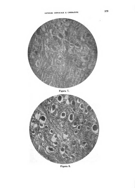 Nevrasse fisiopatologia e clinica del sistema nervoso centrale, neurochirurgia, neuroradiologia, psichiatria