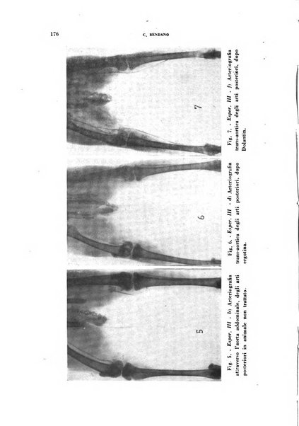 Nevrasse fisiopatologia e clinica del sistema nervoso centrale, neurochirurgia, neuroradiologia, psichiatria