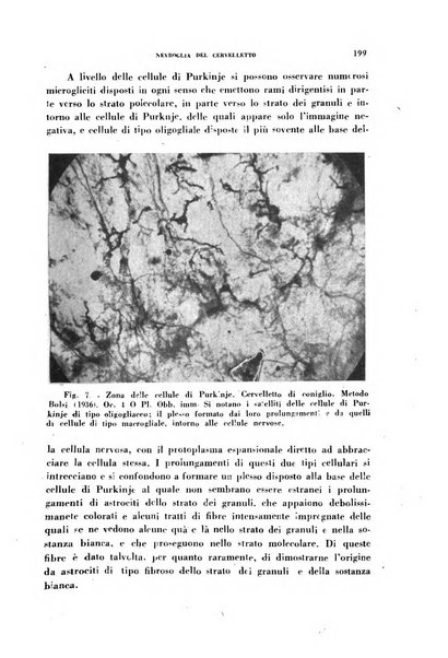 Nevrasse fisiopatologia e clinica del sistema nervoso centrale, neurochirurgia, neuroradiologia, psichiatria