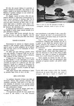giornale/CUB0705176/1932-1933/unico/00000629