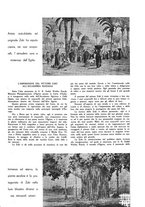 giornale/CUB0705176/1933-1934/unico/00000643