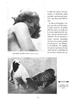 giornale/CUB0705176/1934-1935/unico/00000562