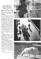 giornale/CUB0705176/1934-1935/unico/00000572