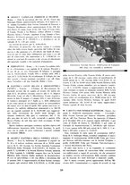 giornale/CUB0705176/1934-1935/unico/00000607