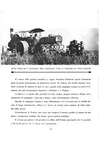 giornale/CUB0705176/1934-1935/unico/00000628