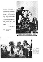 giornale/CUB0705176/1934-1935/unico/00000635