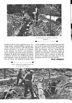 giornale/CUB0705176/1935-1936/unico/00000023