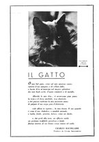 giornale/CUB0705176/1935-1936/unico/00000134