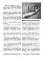 giornale/CUB0705176/1939/unico/00000049