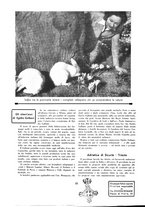 giornale/CUB0705176/1939/unico/00000156