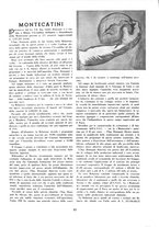 giornale/CUB0705176/1939/unico/00000307