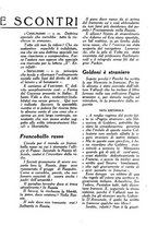 giornale/CUB0706186/1933/unico/00000053