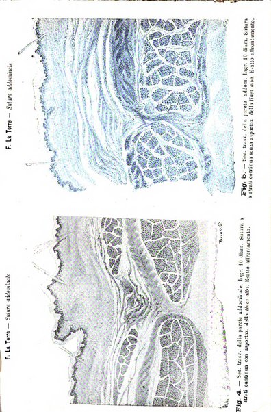 La rassegna d'ostetricia e ginecologia