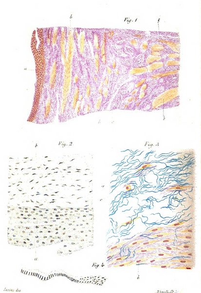 La rassegna d'ostetricia e ginecologia