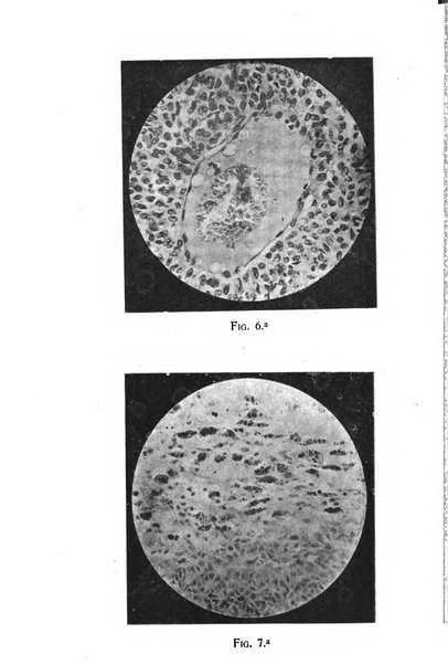 La rassegna d'ostetricia e ginecologia