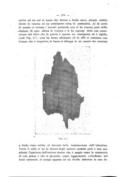 La rassegna d'ostetricia e ginecologia